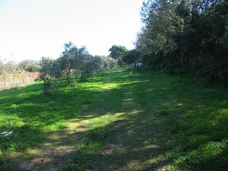 sant'antioco località is achillonis